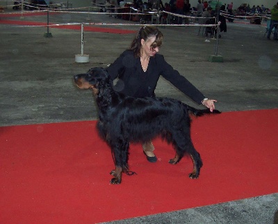 Colempce - Marseille dog show 2012